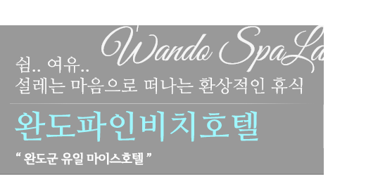 메인카피라이트